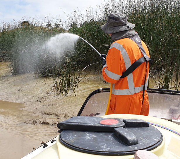 Gun-Spraying-Auckland